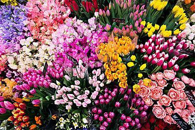 即时战略游戏《The Valiant》Steam发售 国区原价130元