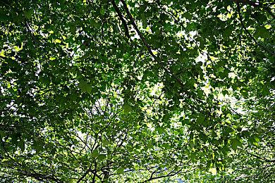 PSP对战游戏高清复刻《伊苏vs.空之轨迹：抉择传奇》Steam页面开放 明年发售